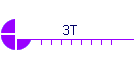 3T